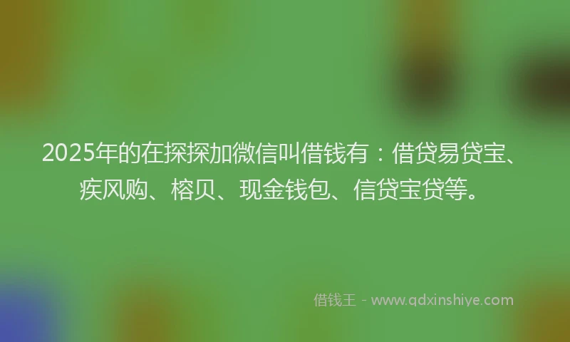 2025年的在探探加微信叫借钱有：借贷易贷宝、疾风购、榕贝、现金钱包、信贷宝贷等。