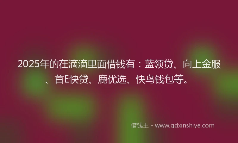 2025年的在滴滴里面借钱有：蓝领贷、向上金服、首E快贷、鹿优选、快鸟钱包等。