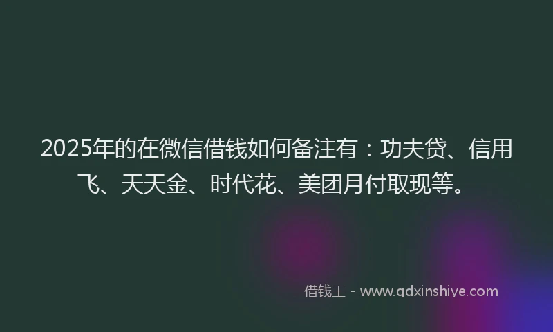 2025年的在微信借钱如何备注有：功夫贷、信用飞、天天金、时代花、美团月付取现等。