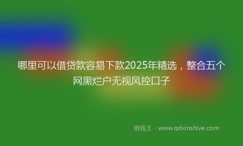 哪里可以借贷款容易下款2025年精选，整合五个网黑烂户无视风控口子