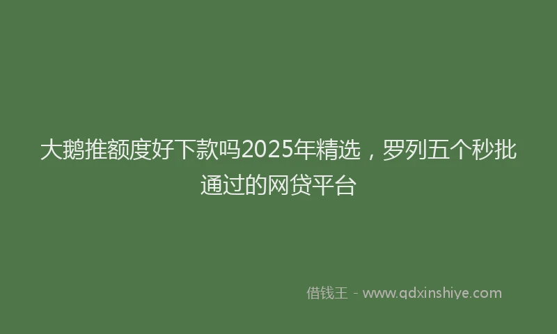 大鹅推额度好下款吗2025年精选，罗列五个秒批通过的网贷平台