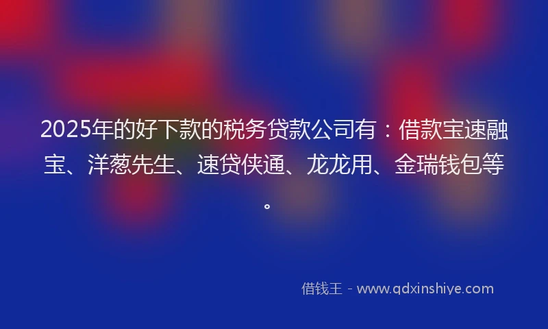 2025年的好下款的税务贷款公司有：借款宝速融宝、洋葱先生、速贷侠通、龙龙用、金瑞钱包等。
