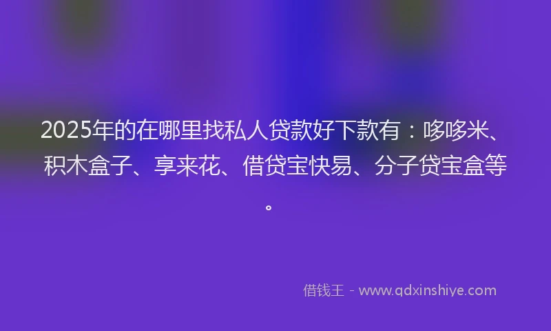 2025年的在哪里找私人贷款好下款有：哆哆米、积木盒子、享来花、借贷宝快易、分子贷宝盒等。