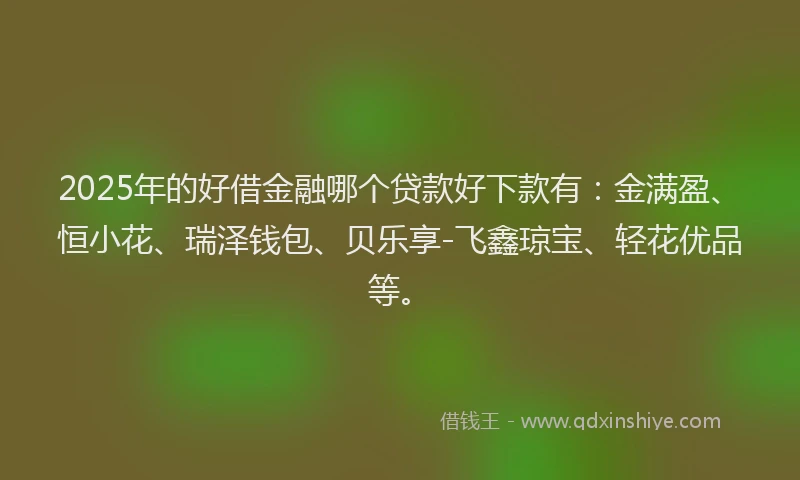 2025年的好借金融哪个贷款好下款有：金满盈、恒小花、瑞泽钱包、贝乐享-飞鑫琼宝、轻花优品等。