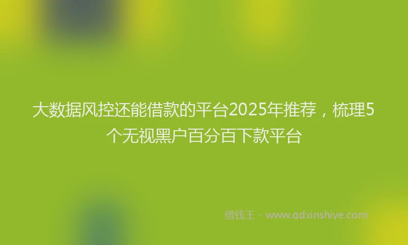 大数据风控还能借款的平台2025年推荐，梳理5个无视黑户百分百下款平台