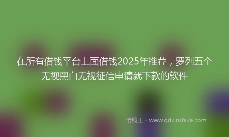 在所有借钱平台上面借钱2025年推荐，罗列五个无视黑白无视征信申请就下款的软件