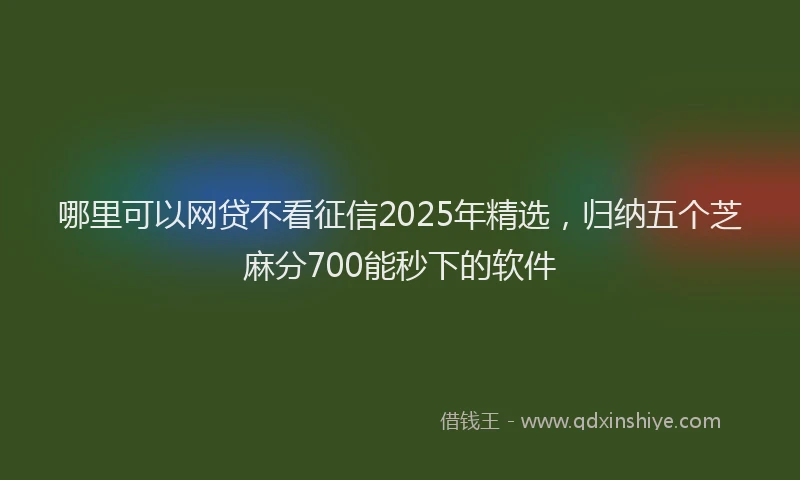 哪里可以网贷不看征信2025年精选，归纳五个芝麻分700能秒下的软件