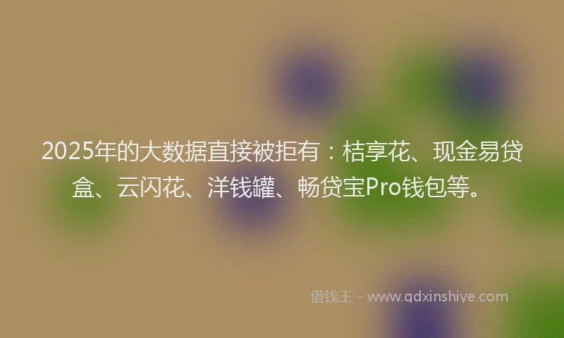 2025年的大数据直接被拒有：桔享花、现金易贷盒、云闪花、洋钱罐、畅贷宝Pro钱包等。