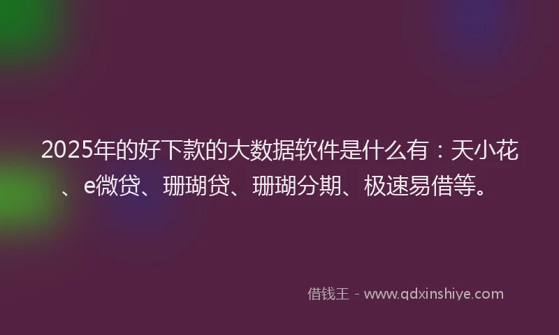 2025年的好下款的大数据软件是什么有：天小花、e微贷、珊瑚贷、珊瑚分期、极速易借等。