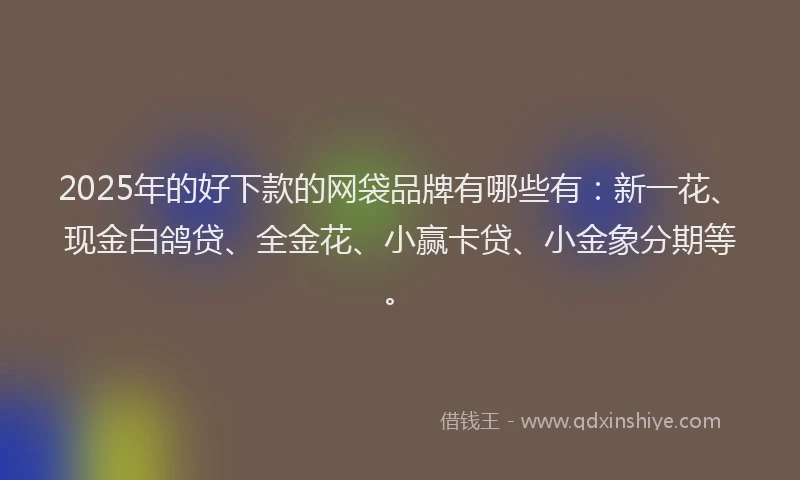 2025年的好下款的网袋品牌有哪些有：新一花、现金白鸽贷、全金花、小赢卡贷、小金象分期等。