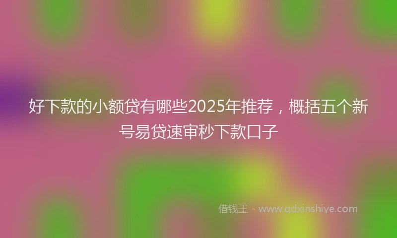 好下款的小额贷有哪些2025年推荐，概括五个新号易贷速审秒下款口子