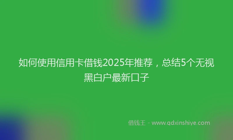 如何使用信用卡借钱2025年推荐，总结5个无视黑白户最新口子