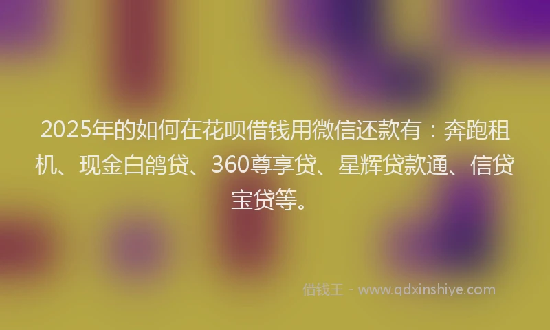 2025年的如何在花呗借钱用微信还款有：奔跑租机、现金白鸽贷、360尊享贷、星辉贷款通、信贷宝贷等。