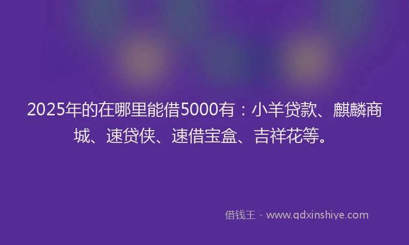 2025年的在哪里能借5000有：小羊贷款、麒麟商城、速贷侠、速借宝盒、吉祥花等。