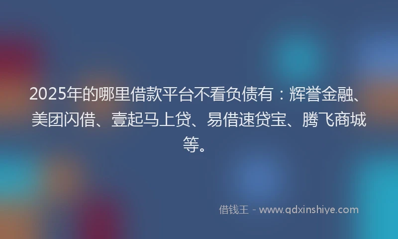 2025年的哪里借款平台不看负债有：辉誉金融、美团闪借、壹起马上贷、易借速贷宝、腾飞商城等。