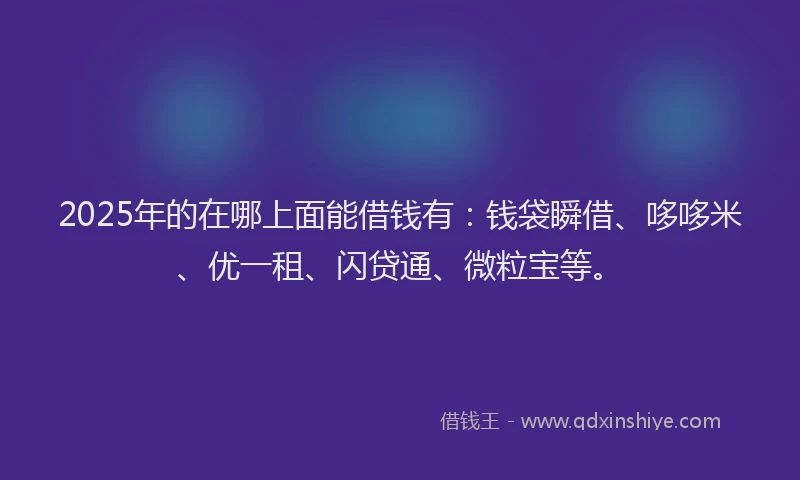 2025年的在哪上面能借钱有：钱袋瞬借、哆哆米、优一租、闪贷通、微粒宝等。