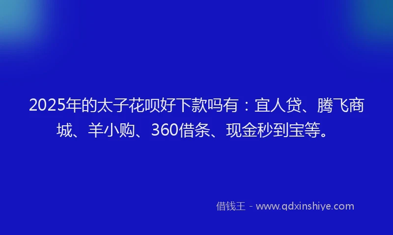 2025年的太子花呗好下款吗有：宜人贷、腾飞商城、羊小购、360借条、现金秒到宝等。