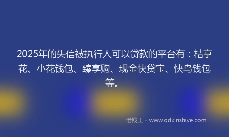 2025年的失信被执行人可以贷款的平台有：桔享花、小花钱包、臻享购、现金快贷宝、快鸟钱包等。