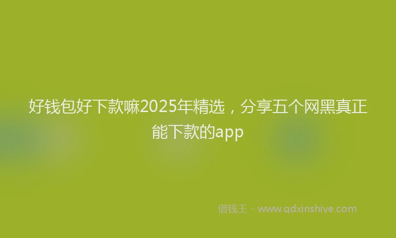好钱包好下款嘛2025年精选，分享五个网黑真正能下款的app