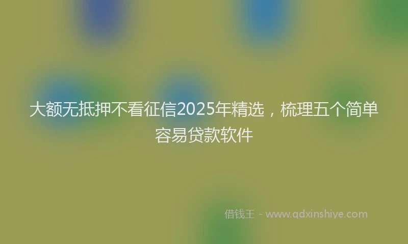 大额无抵押不看征信2025年精选，梳理五个简单容易贷款软件