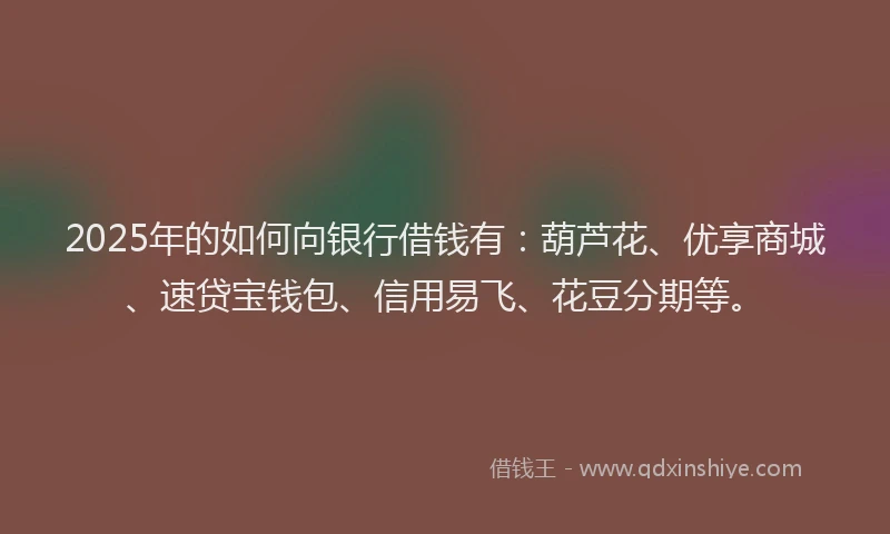 2025年的如何向银行借钱有：葫芦花、优享商城、速贷宝钱包、信用易飞、花豆分期等。