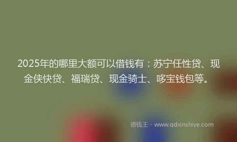 2025年的哪里大额可以借钱有：苏宁任性贷、现金侠快贷、福瑞贷、现金骑士、哆宝钱包等。
