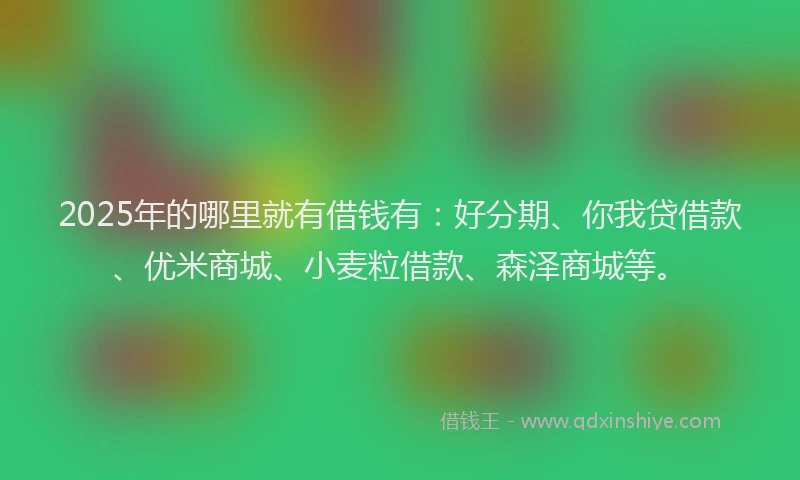 2025年的哪里就有借钱有：好分期、你我贷借款、优米商城、小麦粒借款、森泽商城等。