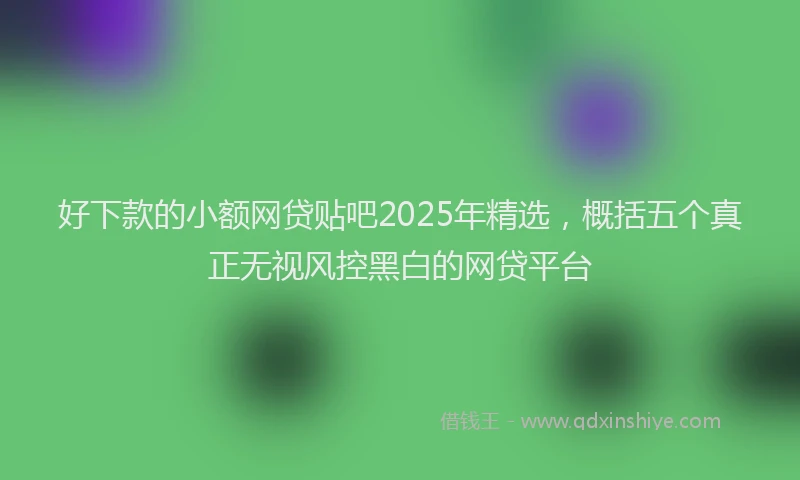 好下款的小额网贷贴吧2025年精选，概括五个真正无视风控黑白的网贷平台