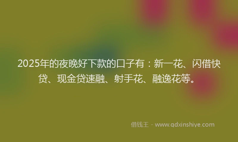 2025年的夜晚好下款的口子有：新一花、闪借快贷、现金贷速融、射手花、融逸花等。