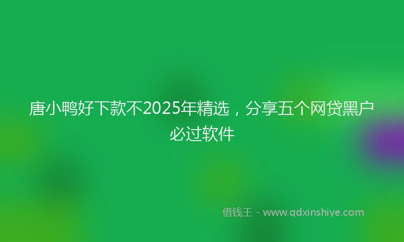 唐小鸭好下款不2025年精选，分享五个网贷黑户必过软件