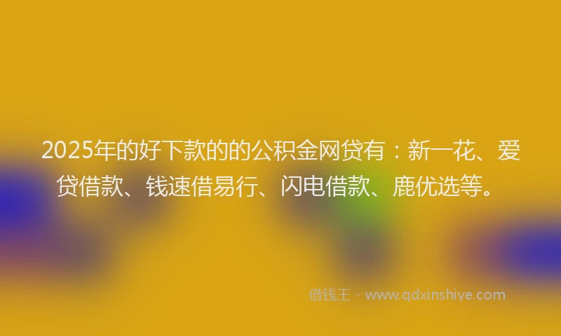 2025年的好下款的的公积金网贷有：新一花、爱贷借款、钱速借易行、闪电借款、鹿优选等。