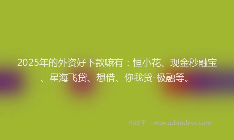 2025年的外资好下款嘛有：恒小花、现金秒融宝、星海飞贷、想借、你我贷-极融等。