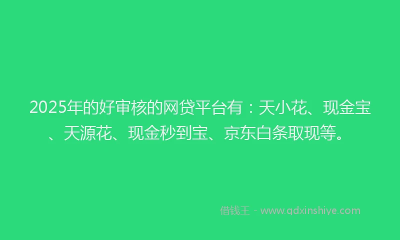 2025年的好审核的网贷平台有：天小花、现金宝、天源花、现金秒到宝、京东白条取现等。