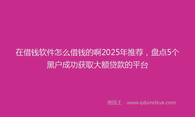 在借钱软件怎么借钱的啊2025年推荐，盘点5个黑户成功获取大额贷款的平台