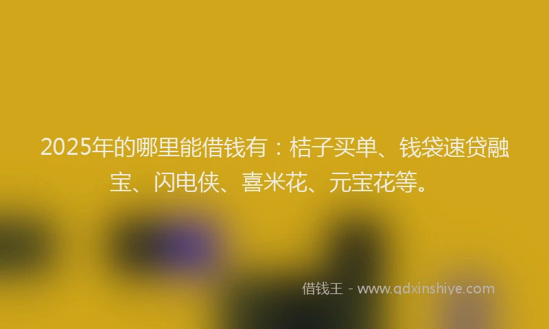 2025年的哪里能借钱有：桔子买单、钱袋速贷融宝、闪电侠、喜米花、元宝花等。