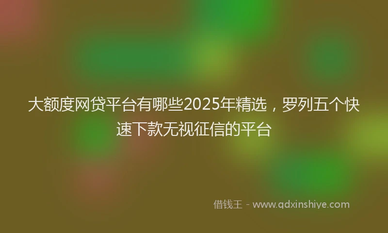 大额度网贷平台有哪些2025年精选，罗列五个快速下款无视征信的平台