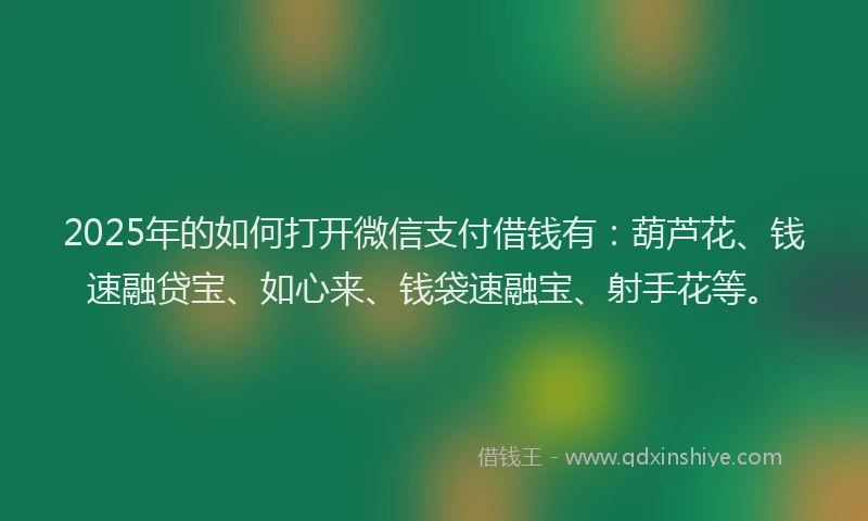 2025年的如何打开微信支付借钱有：葫芦花、钱速融贷宝、如心来、钱袋速融宝、射手花等。