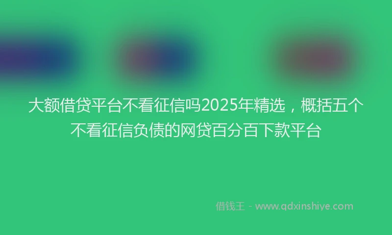 大额借贷平台不看征信吗2025年精选，概括五个不看征信负债的网贷百分百下款平台