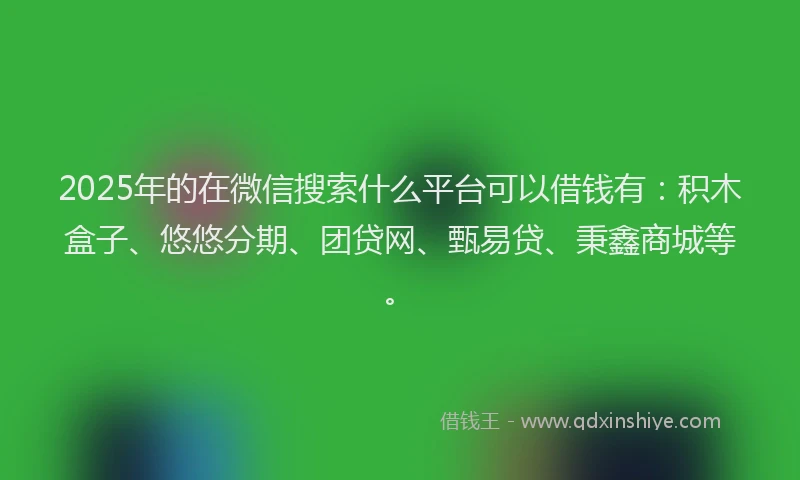 2025年的在微信搜索什么平台可以借钱有：积木盒子、悠悠分期、团贷网、甄易贷、秉鑫商城等。