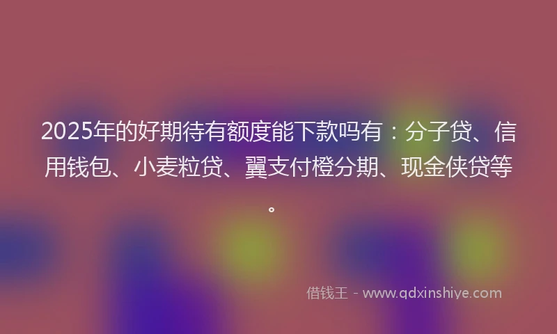 2025年的好期待有额度能下款吗有：分子贷、信用钱包、小麦粒贷、翼支付橙分期、现金侠贷等。
