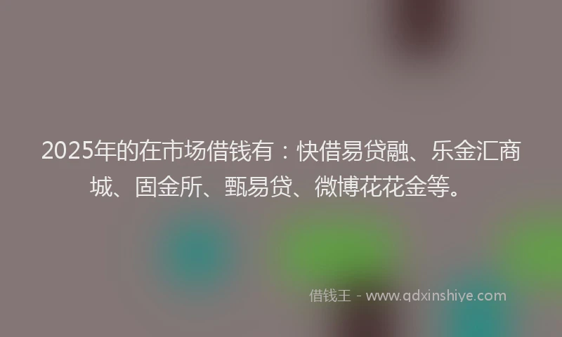 2025年的在市场借钱有：快借易贷融、乐金汇商城、固金所、甄易贷、微博花花金等。