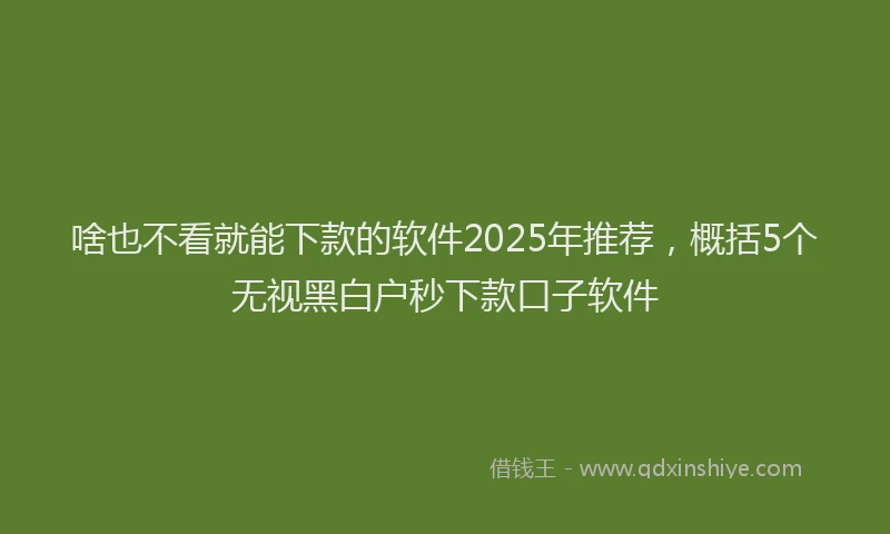 啥也不看就能下款的软件2025年推荐，概括5个无视黑白户秒下款口子软件