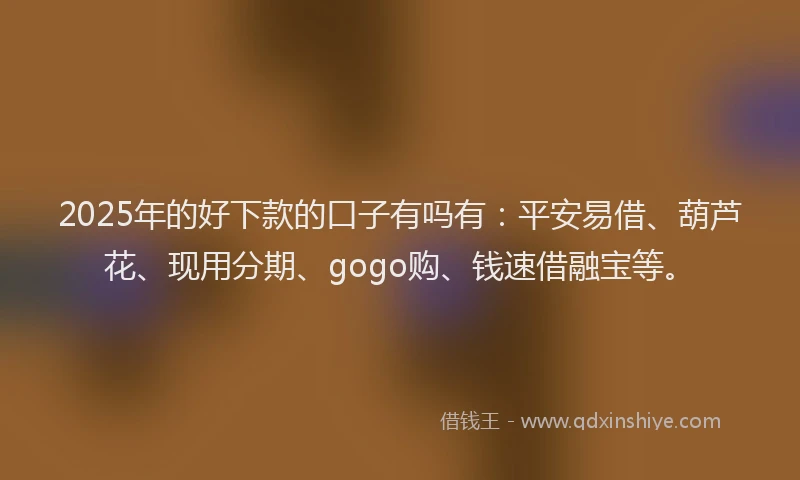 2025年的好下款的口子有吗有：平安易借、葫芦花、现用分期、gogo购、钱速借融宝等。