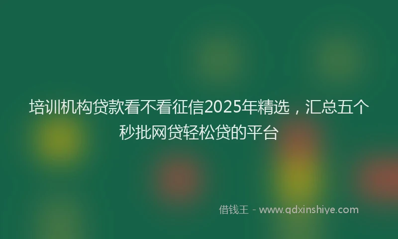 培训机构贷款看不看征信2025年精选，汇总五个秒批网贷轻松贷的平台