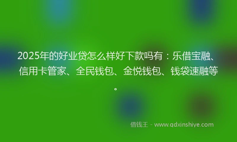 2025年的好业贷怎么样好下款吗有：乐借宝融、信用卡管家、全民钱包、金悦钱包、钱袋速融等。