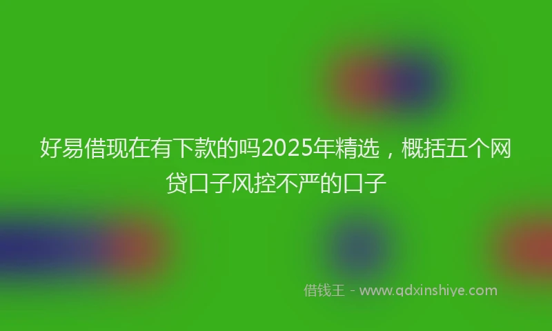 好易借现在有下款的吗2025年精选，概括五个网贷口子风控不严的口子