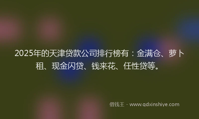 2025年的天津贷款公司排行榜有：金满仓、萝卜租、现金闪贷、钱来花、任性贷等。