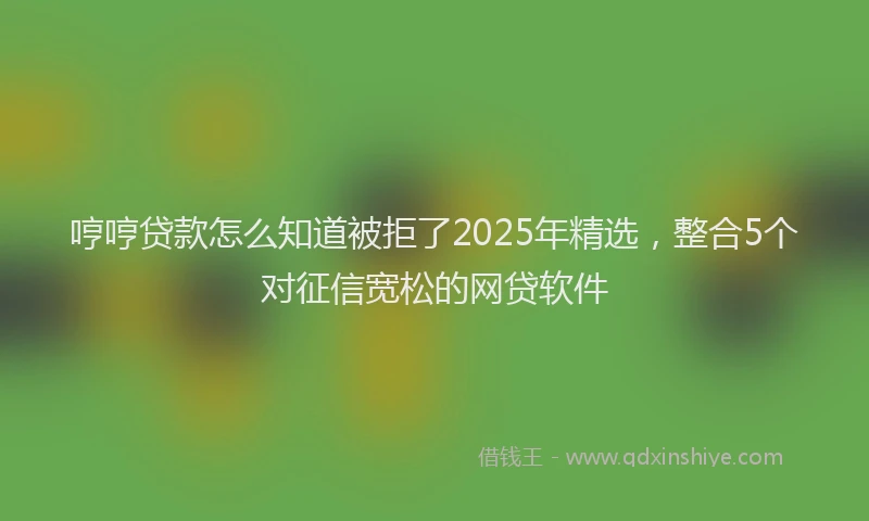 哼哼贷款怎么知道被拒了2025年精选，整合5个对征信宽松的网贷软件