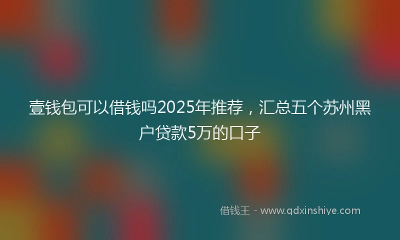 壹钱包可以借钱吗2025年推荐，汇总五个苏州黑户贷款5万的口子