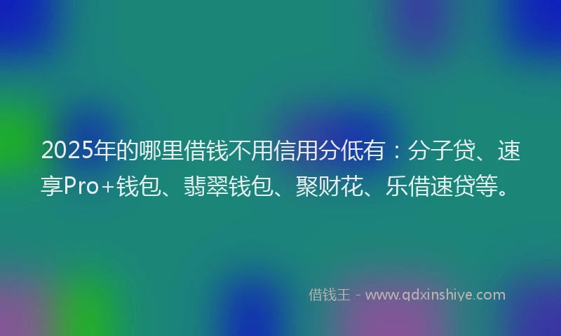 2025年的哪里借钱不用信用分低有：分子贷、速享Pro+钱包、翡翠钱包、聚财花、乐借速贷等。